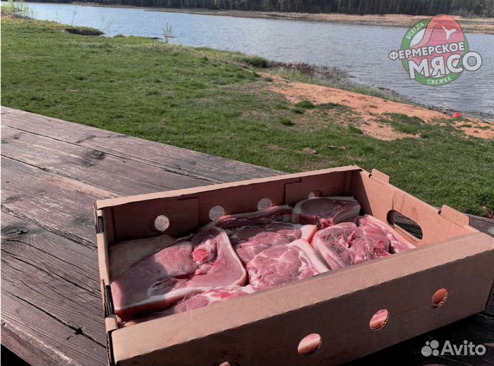 Мясо свинина
