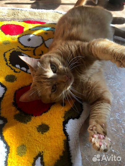 Ковёр тафтинговый