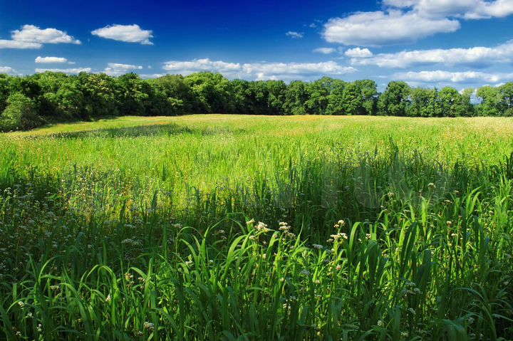 Участок 5 га (СНТ, ДНП)