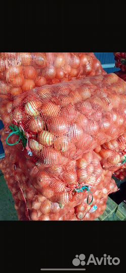 Лук репчатый оптом