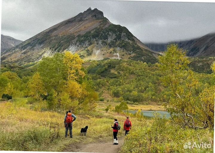 Турпоездка на Камчатку летом программа до 9 дн