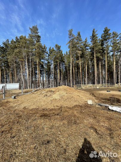 Продам конский навоз (самовывоз)