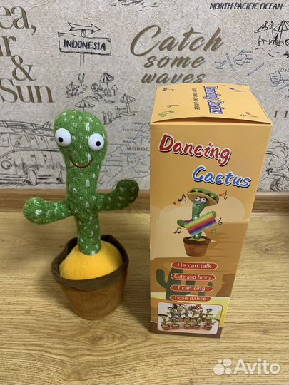 Танцующий кактус