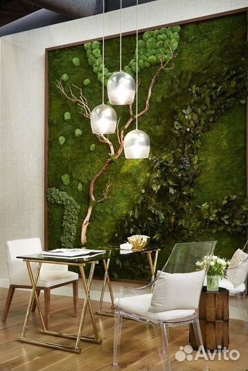 Фитодизайн для помещений