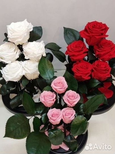 Подарок / Роза в колбе оптом