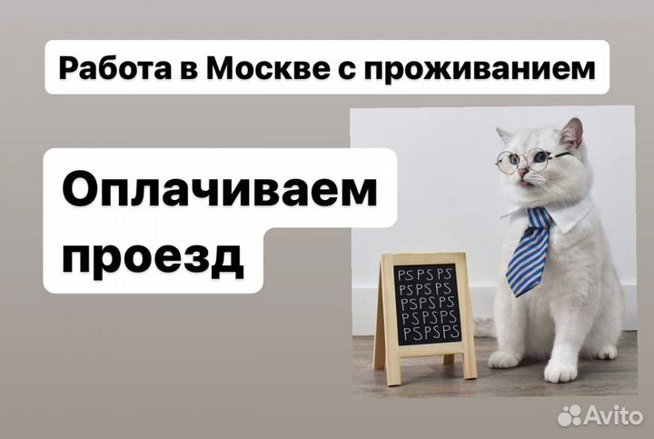 Вахта 20/20.Работа Сортировщиками