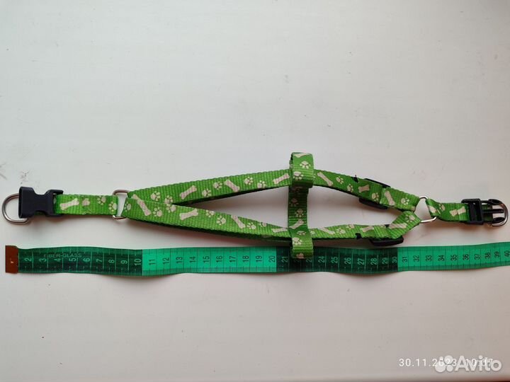 Шлейка с поводком и зимняя курточка для собаки