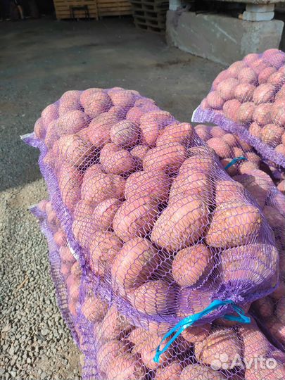 Отличный картофель