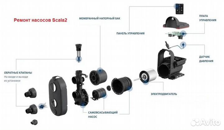 Ремонт насоса Scala2 Grundfos / Грундфос