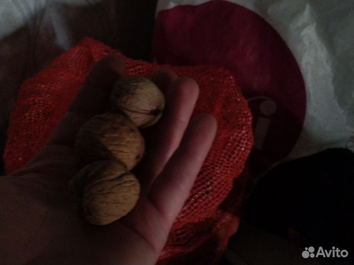 Грецкий орех в скорлупе