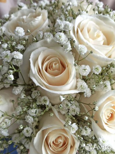 Свадебный букет из крупных роз эквадор и гипсофилы