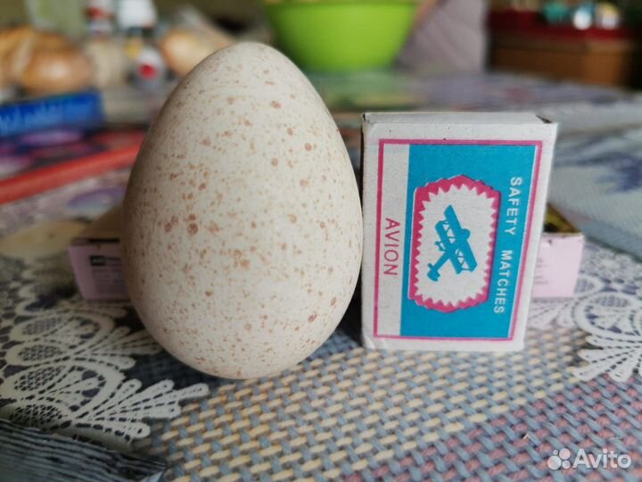 Яйцо индейки инкубационное