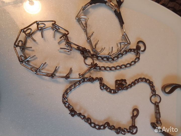 Ошейник для собак