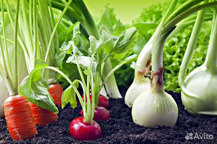 Перегной. Грунт. Торф. Навоз. Компост