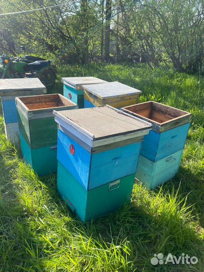 Продам ульи для пчел