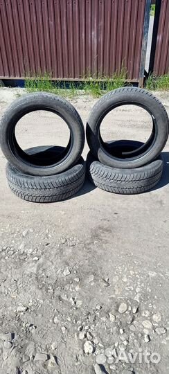 Triangle WinterX TW401 215/55 R18