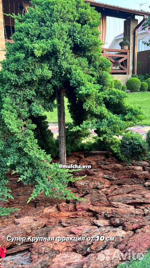 Мульча из коры лиственницы. Укрывной материал