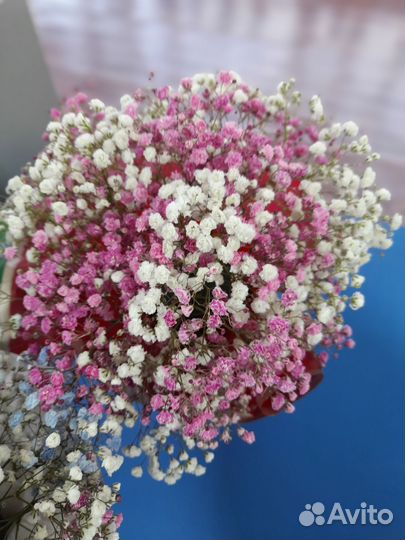 Букет из гипсофилы в коробке