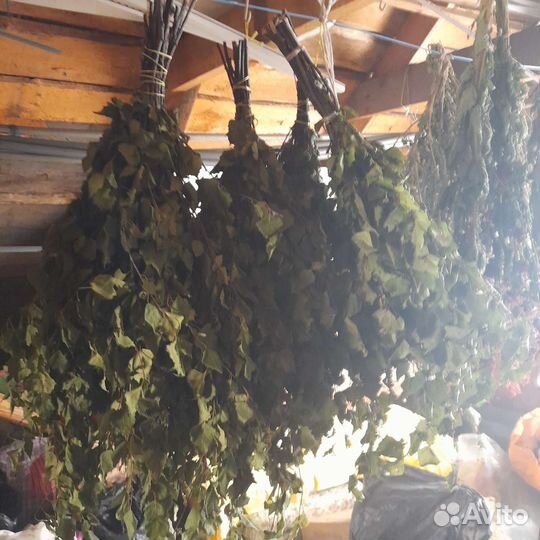 Веники для бани березовые с можжевельником