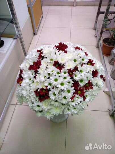 Букет из белых хризантем (про-во Голландия)