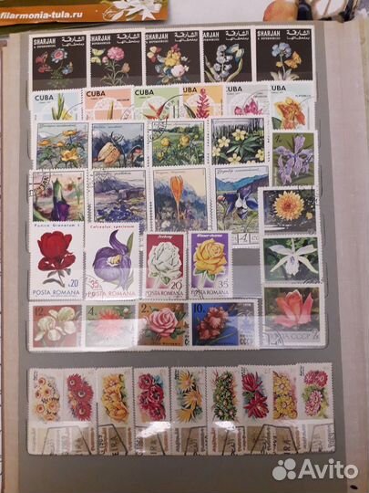 Марки цветы животные