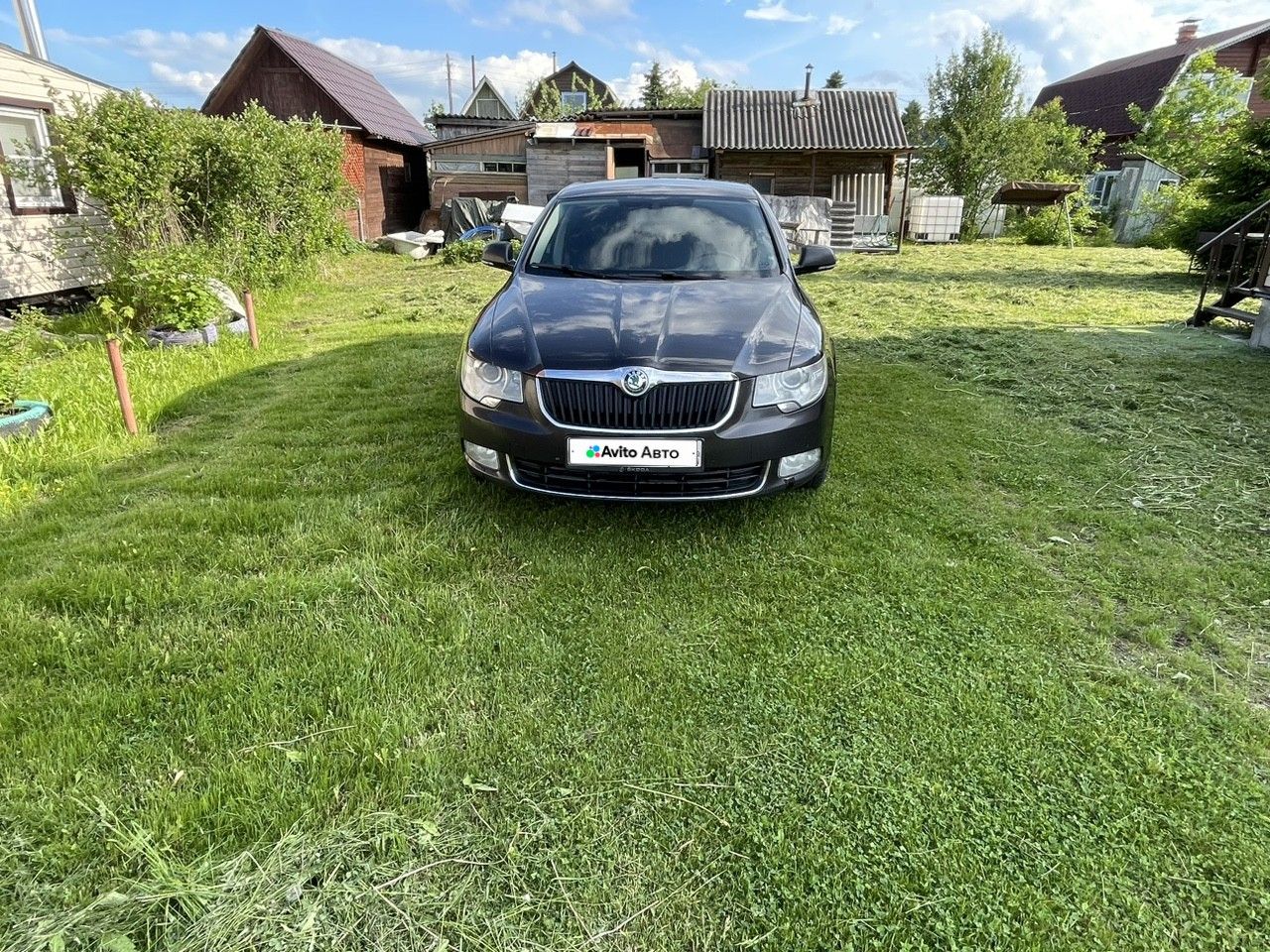 Skoda Superb: фото владельца