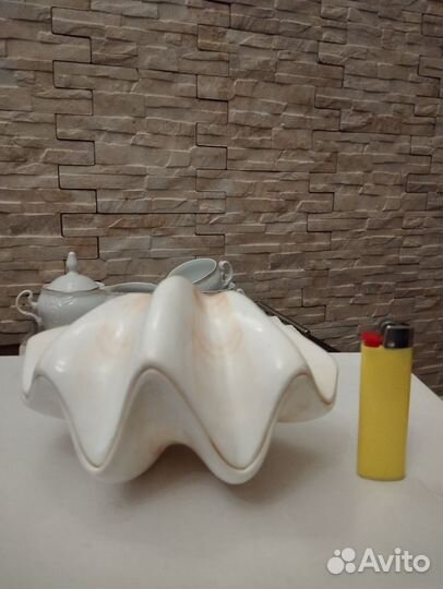 Ракушка 2 створки, большая, морская