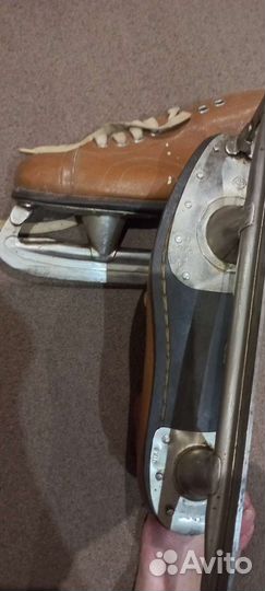 Спорт коньки