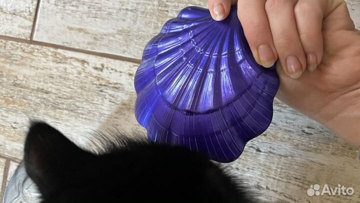 Пиала-ракушка в морском стиле kuchenland