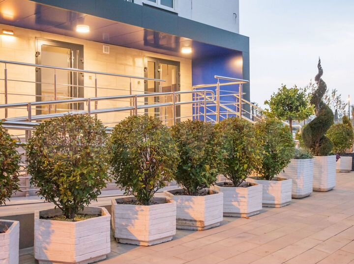 1-к. квартира, 38 м², 6/12 эт.