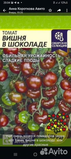 Рассада томатов черри
