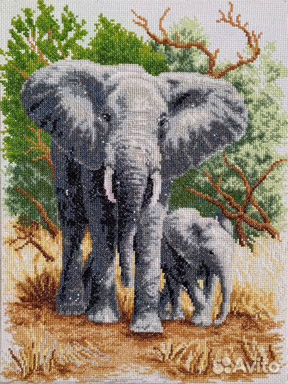 Картина вышитая крестом (Слоны)