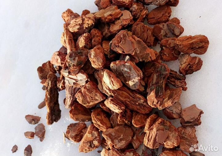 Кора сосновая