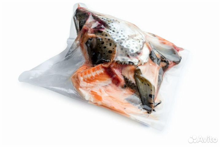 Свежая рыба семга