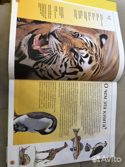 Энциклопедия школьника «Животные», атлас по биолог