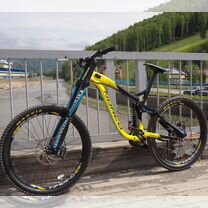 norco aurum