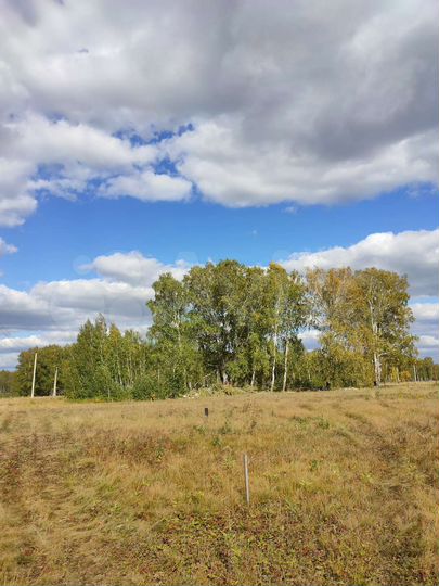 Участок 8 сот. (ИЖС)