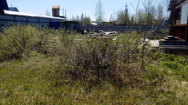 Дача 20 м² на участке 12 сот.