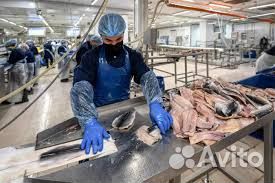 Упаковка фасовка