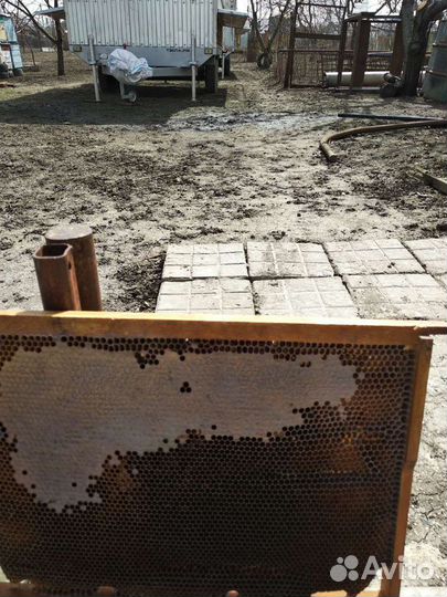 Рамки для пчел