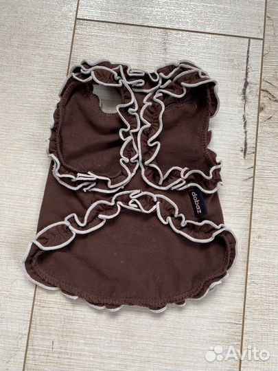 Одежда для животных