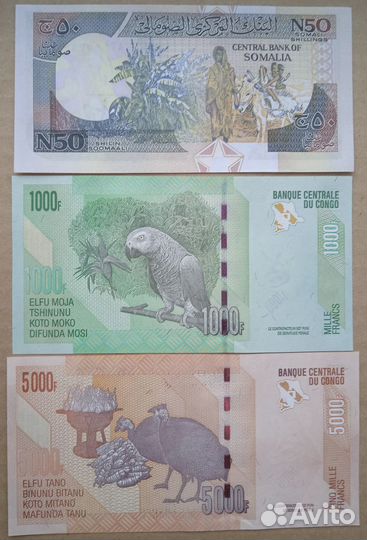 Банкноты мира