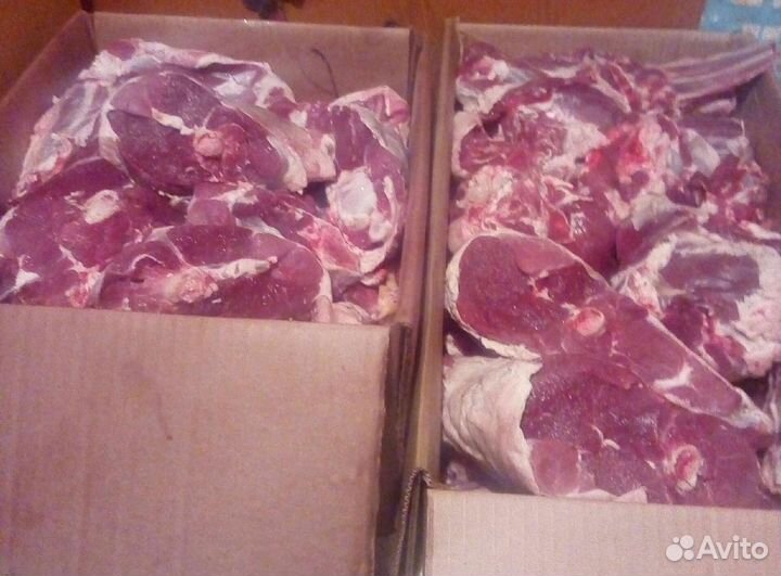 Мясо баранина