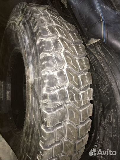 Autogreen SnowLeopard V 10/20 R20