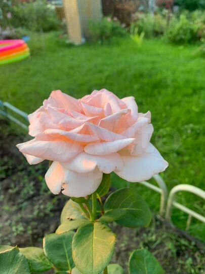 Дача 20 м² на участке 5 сот.