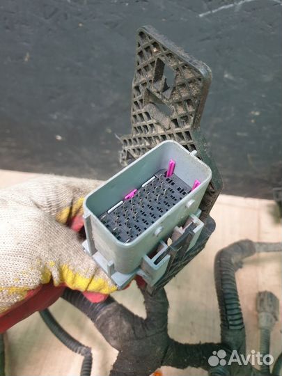 Коса моторного отсека Opel Astra J J