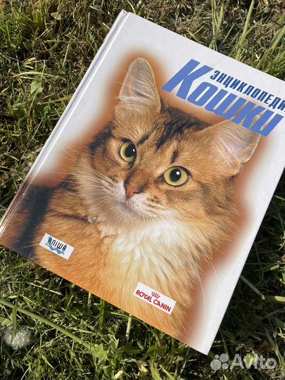 Энциклопедия собак и кошек