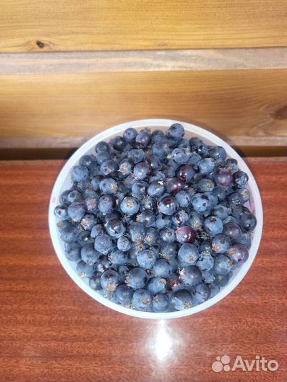 Ирга ягода свежая