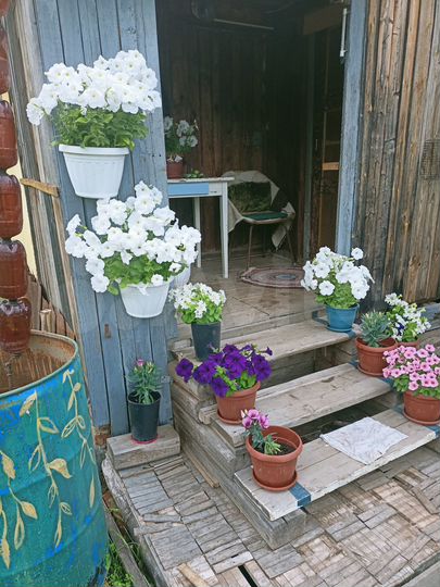 Дом 30 м² на участке 6 сот.