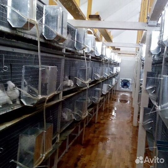 Кормушки бункерные (автокормушки) для кроликов